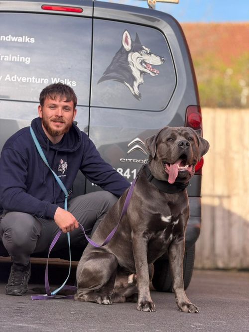 Tierny with a Cane Corso beside the Wagandwalks van