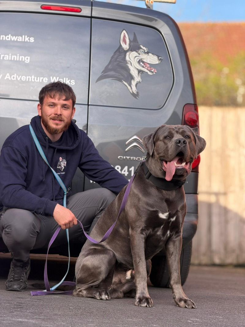 Tierny crouching beside a Cane Corso in front of the Wagandwalks van