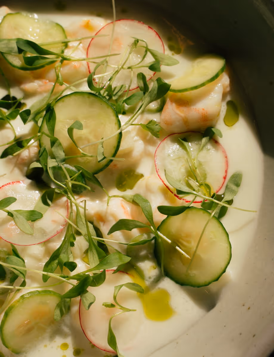 Creamy shrimp ceviche garnished with thin cucumber slices, radish rounds, pea shoots, and drizzled with olive oil.