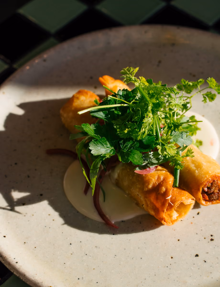 Crispy fried spring rolls topped with fresh parsley and chervil herbs on a speckled ceramic plate in sunlight.
