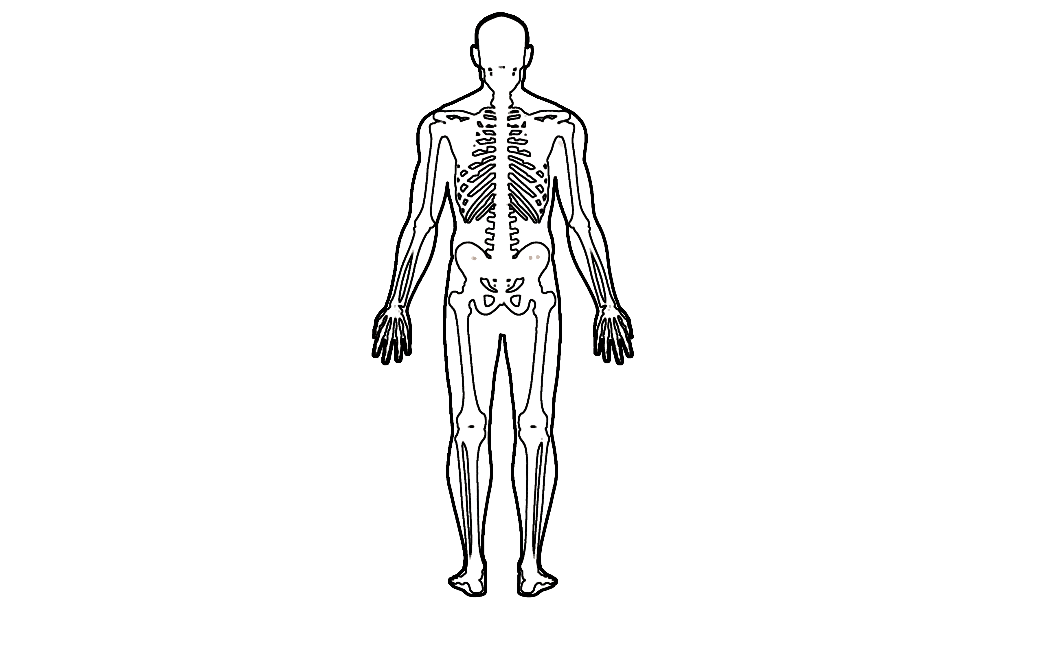 Trigger point body map