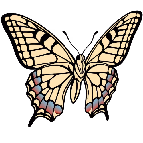 Illustration eines Schwalbenschwanz-Schmetterlings mit gelb-schwarzen Flügeln und blauen sowie roten Flecken an den unteren Flügelenden.