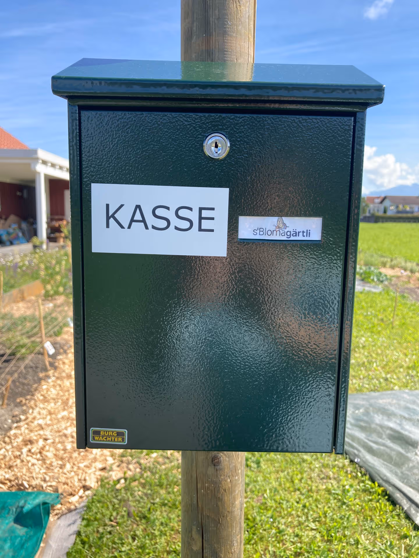 Grüner Metallkasten mit Schloss und Schild „Kasse“ auf einem Holzpfahl im Garten.