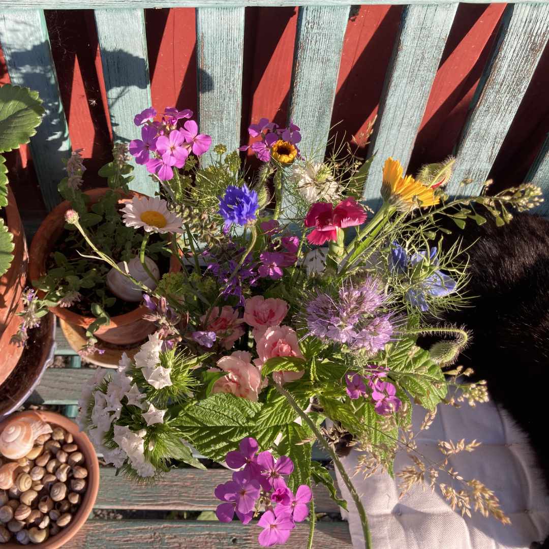 Bunter Blumenstrauß mit verschiedenen Wildblumen auf einer Bank mit rottürkisfarbenen Latten.