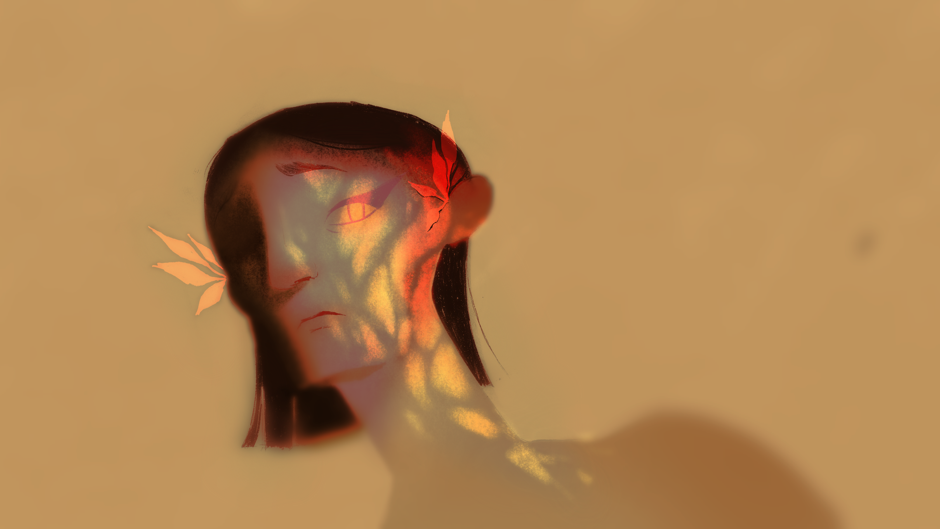 A Dança dos Fanchonos (In Production)