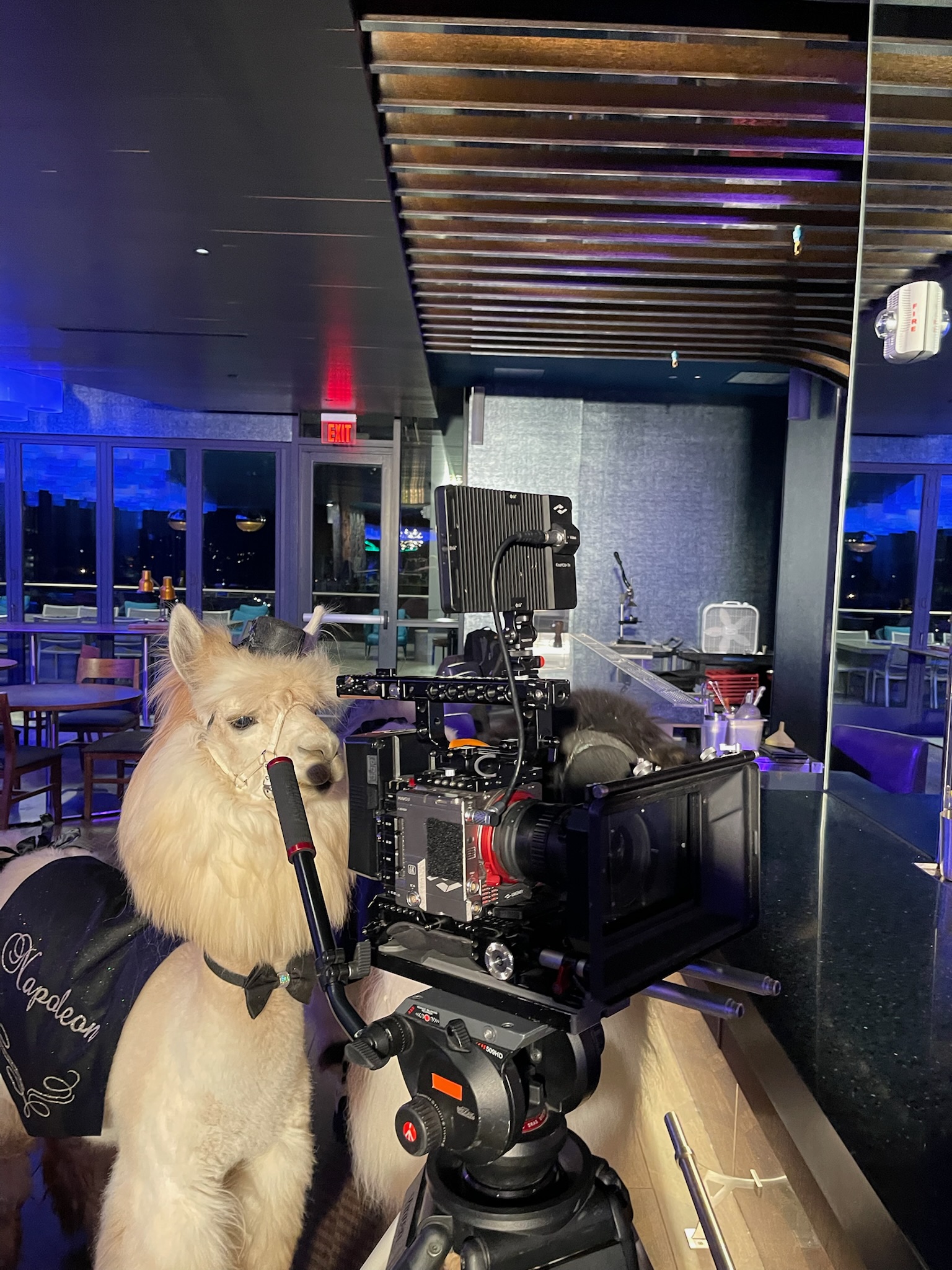 image of event production for an entertainment company