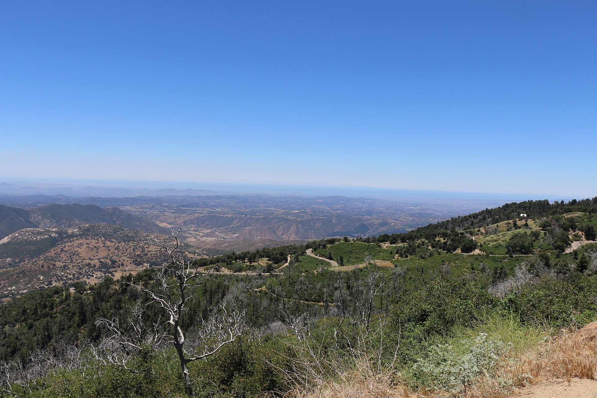 Palomar Mountain Overlook. Photo by Joanna Gilkeson/USFWS via Wikimedia Commons.