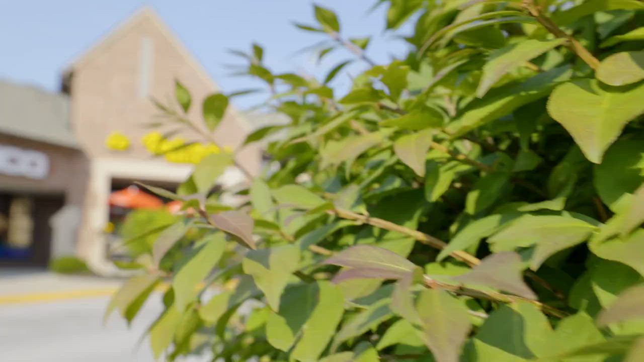Le Voltaire gallery