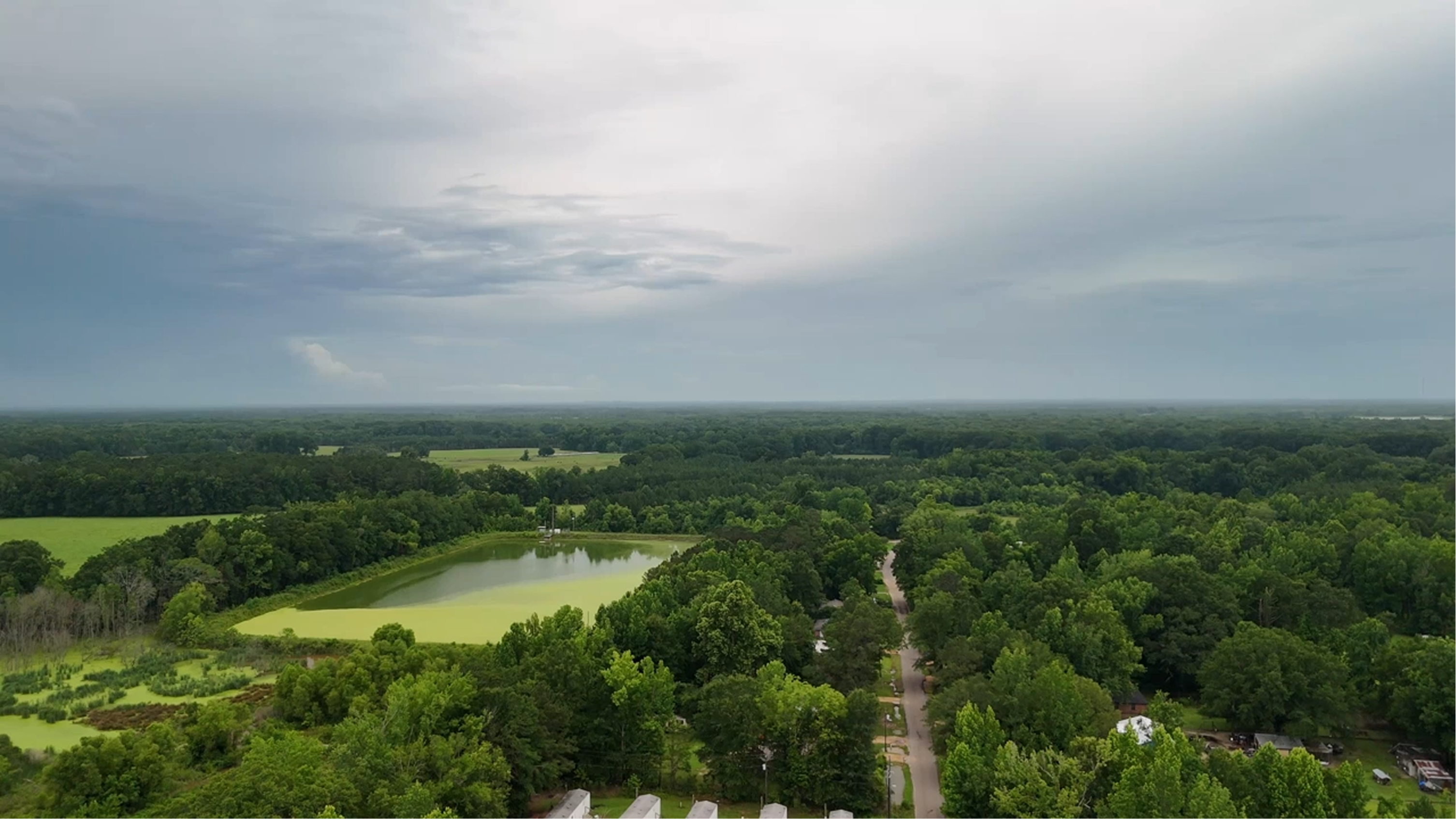 Aerial view of rural wetlands and farmland in Lowndes County, Alabama