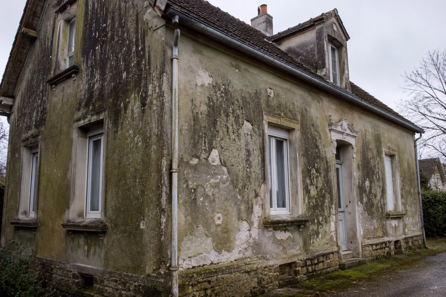 Toiture avant nettoyage et démoussage