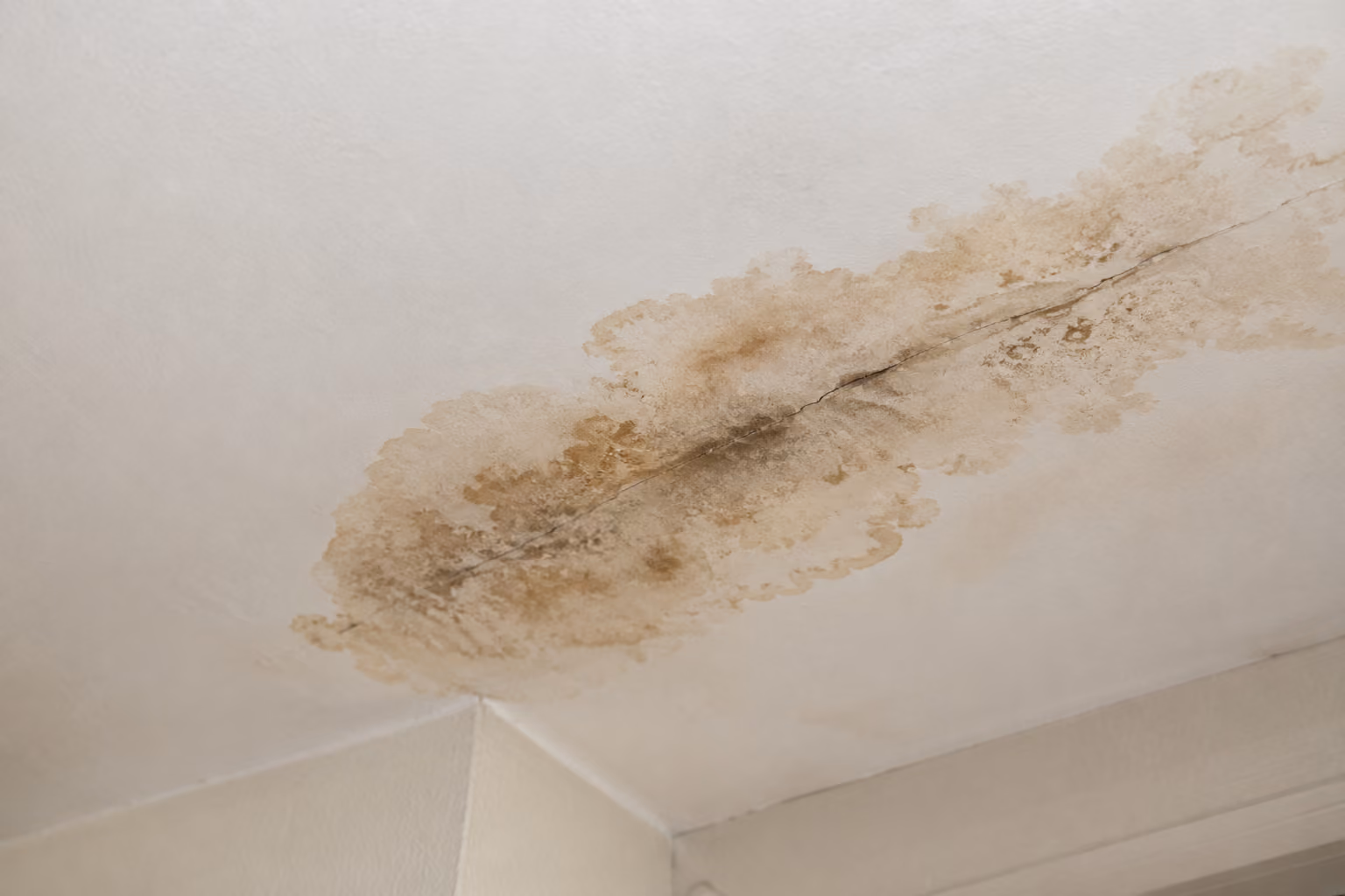 Traces d’humidité causées par une infiltration de toiture.