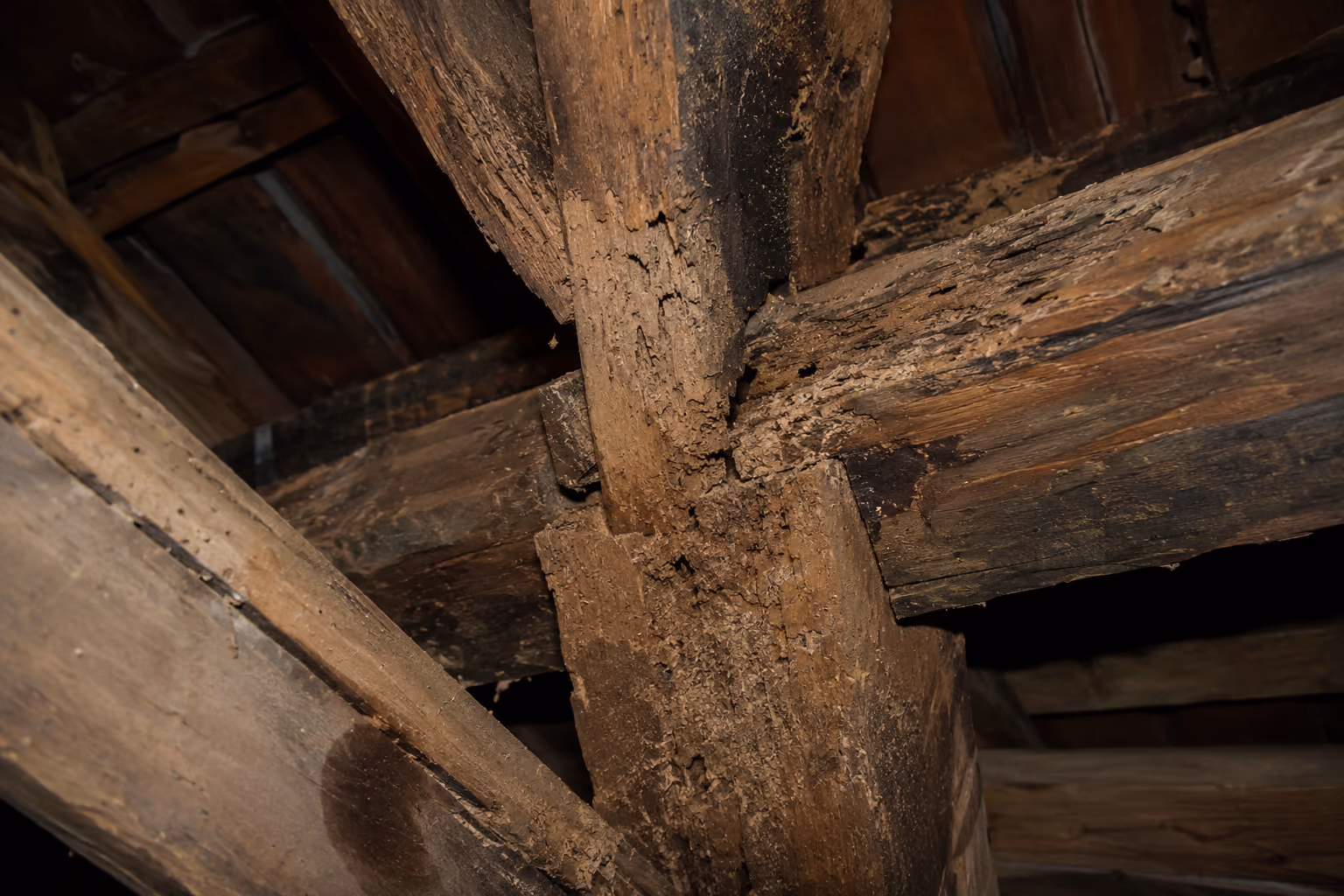 Charpente en bois sous une toiture.