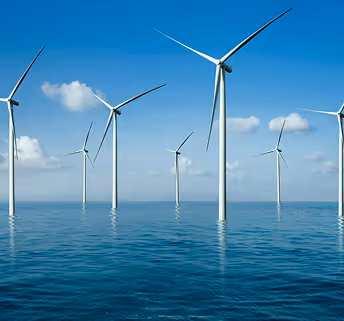 How sustainable brands win customers and impress their investors