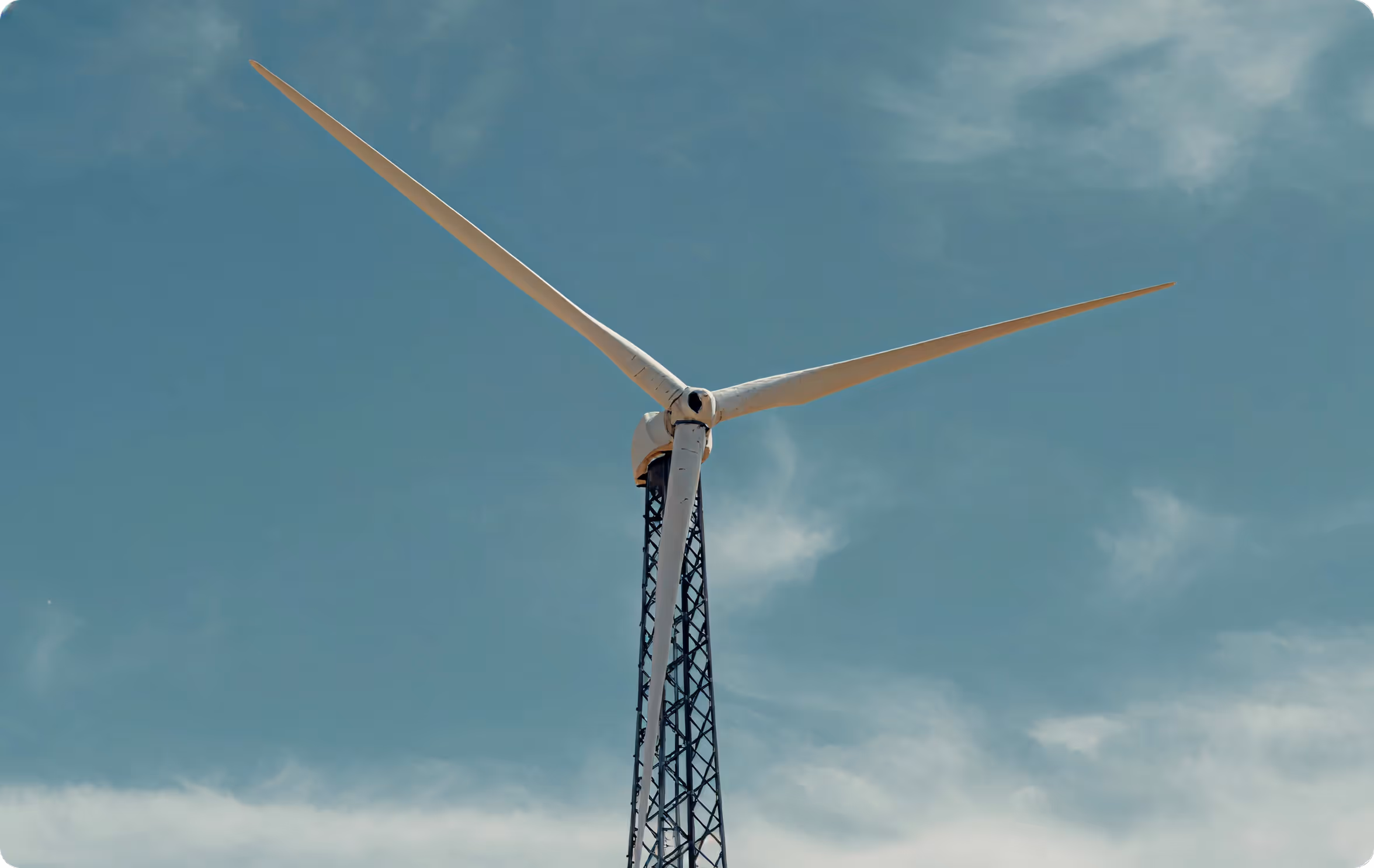 Sustainable growth how businesses can thrive while