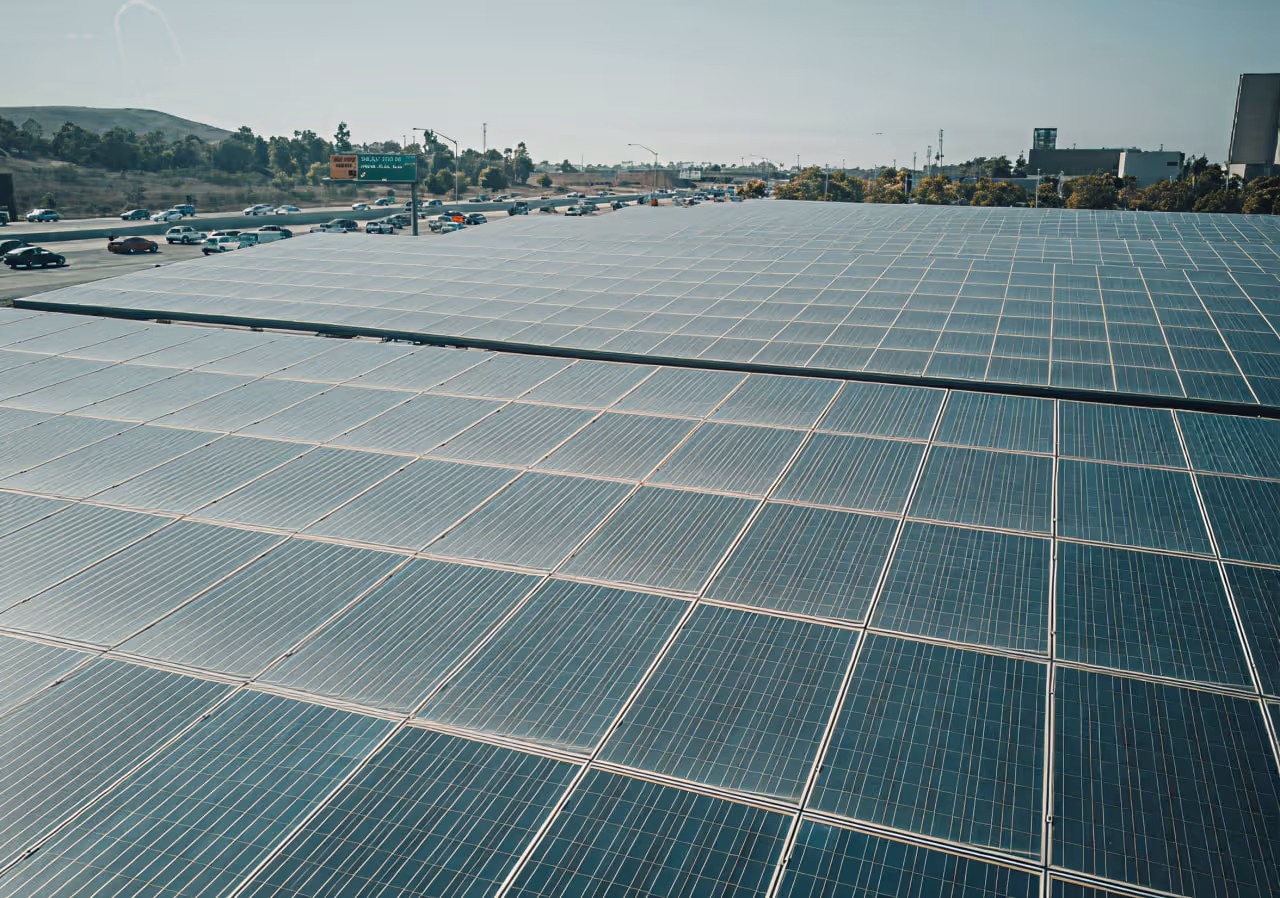 How sustainable brands win customers and impress their investors