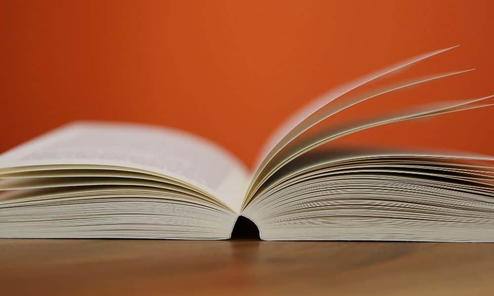 are chiropractors doctors? curriculum