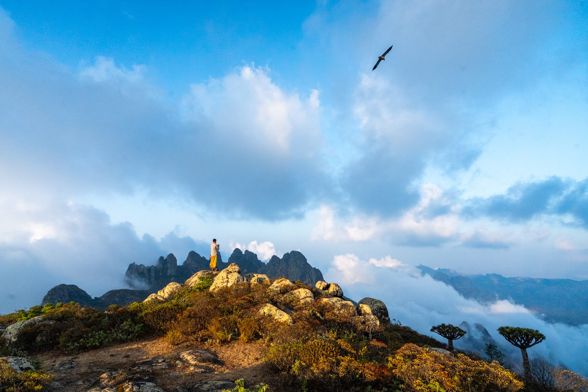 Person standing on rocky terrain overlooking misty mountain peaks under a blue sky with a bird flying above.