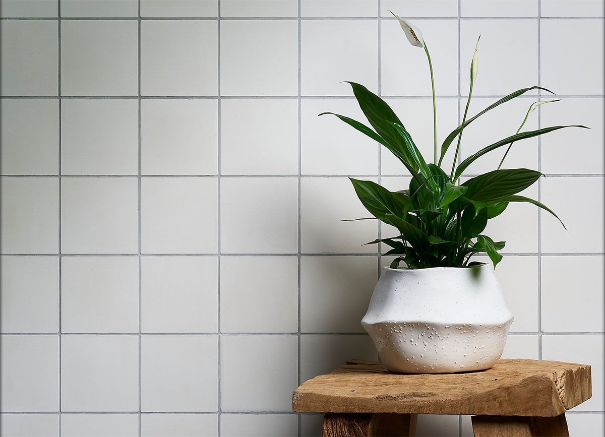 A white Eralith-tiled wall, with a plain plant pot and plant in the front.