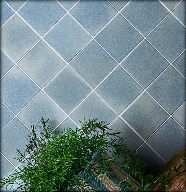 A blue Eralith-tiled internal wall, with a green plant int he foreground.