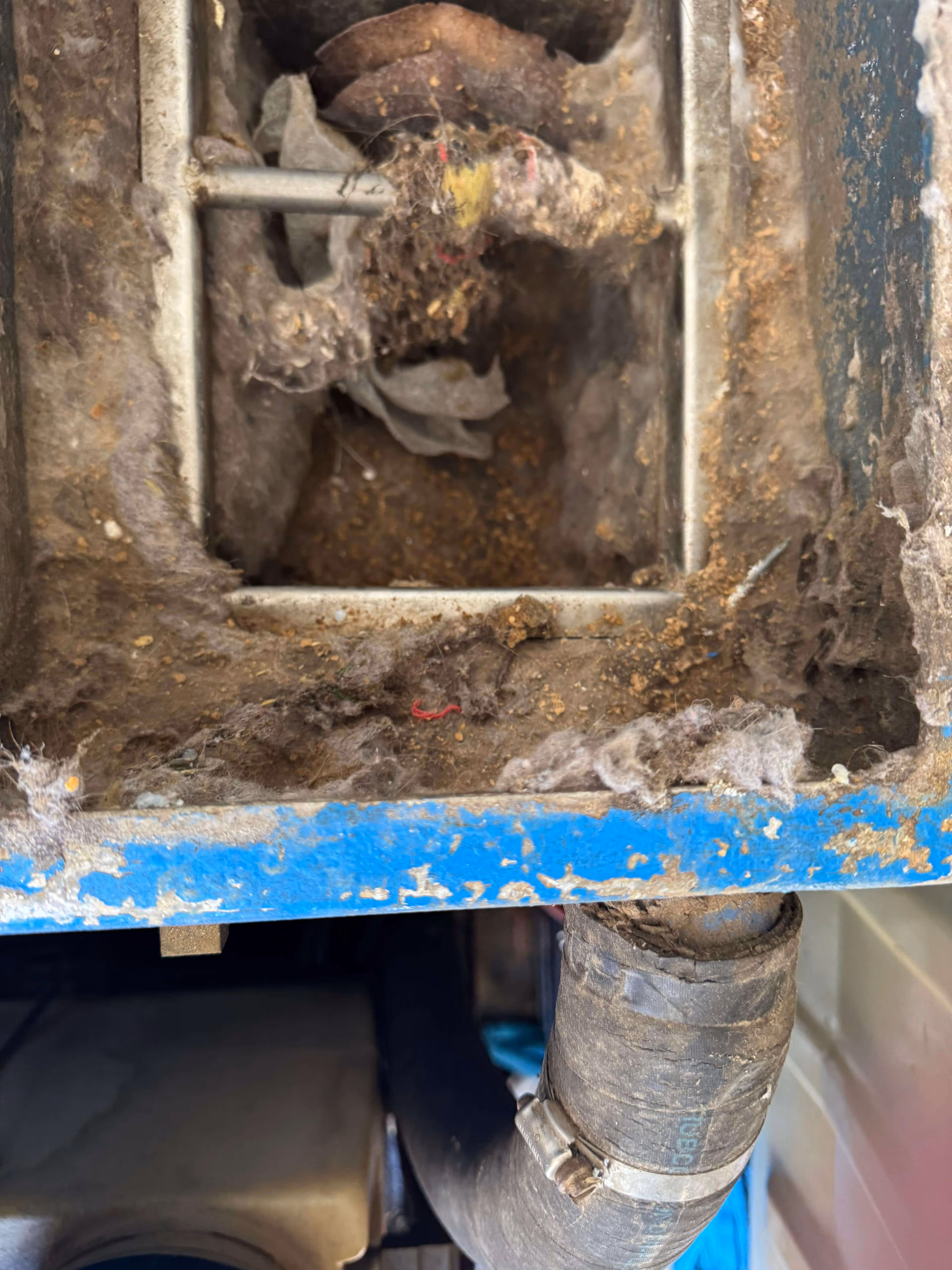 Dusty and dirty vent or duct opening with cobwebs, debris, and an attached hose secured with a metal clamp.
