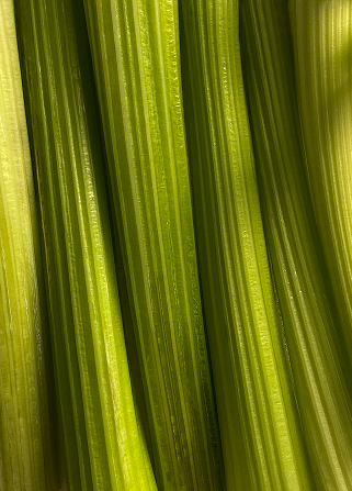 Green celery