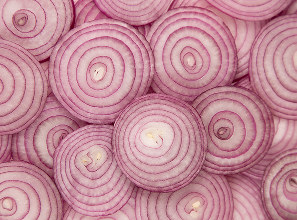 Purple onion