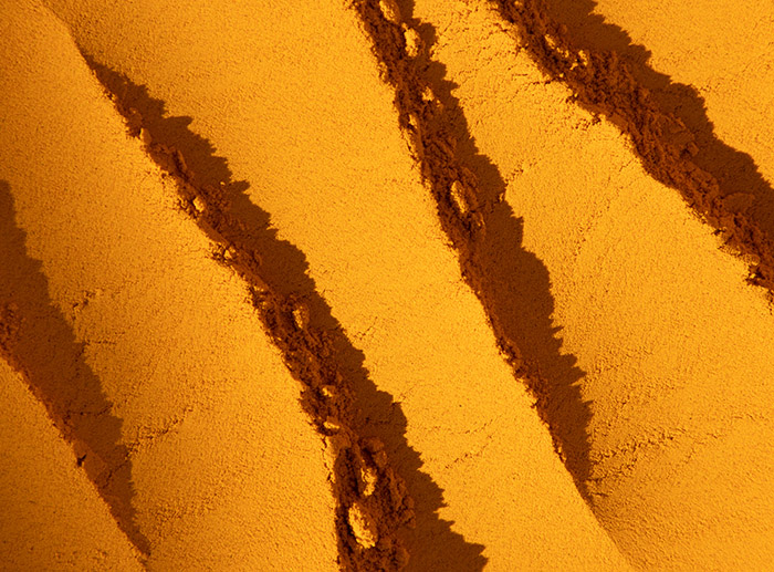 yellow brown turmeric