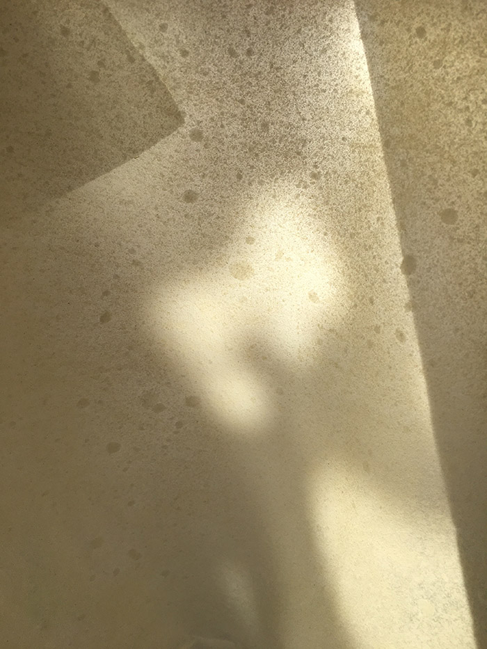 pie crust