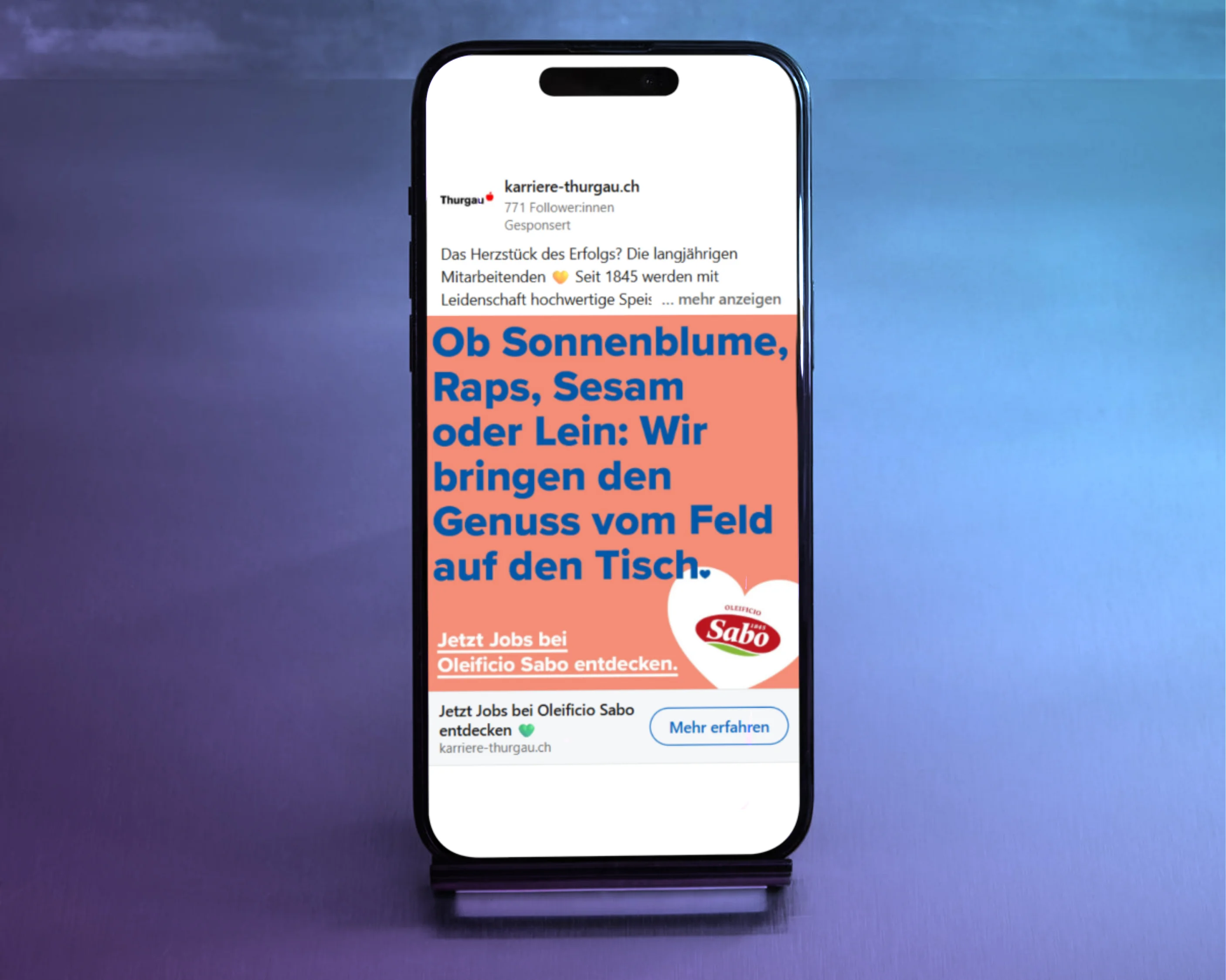 Amt für Wirtschaft und Arbeit Targeted Meta Lead-Campaigns - Kunde von AD Promotion