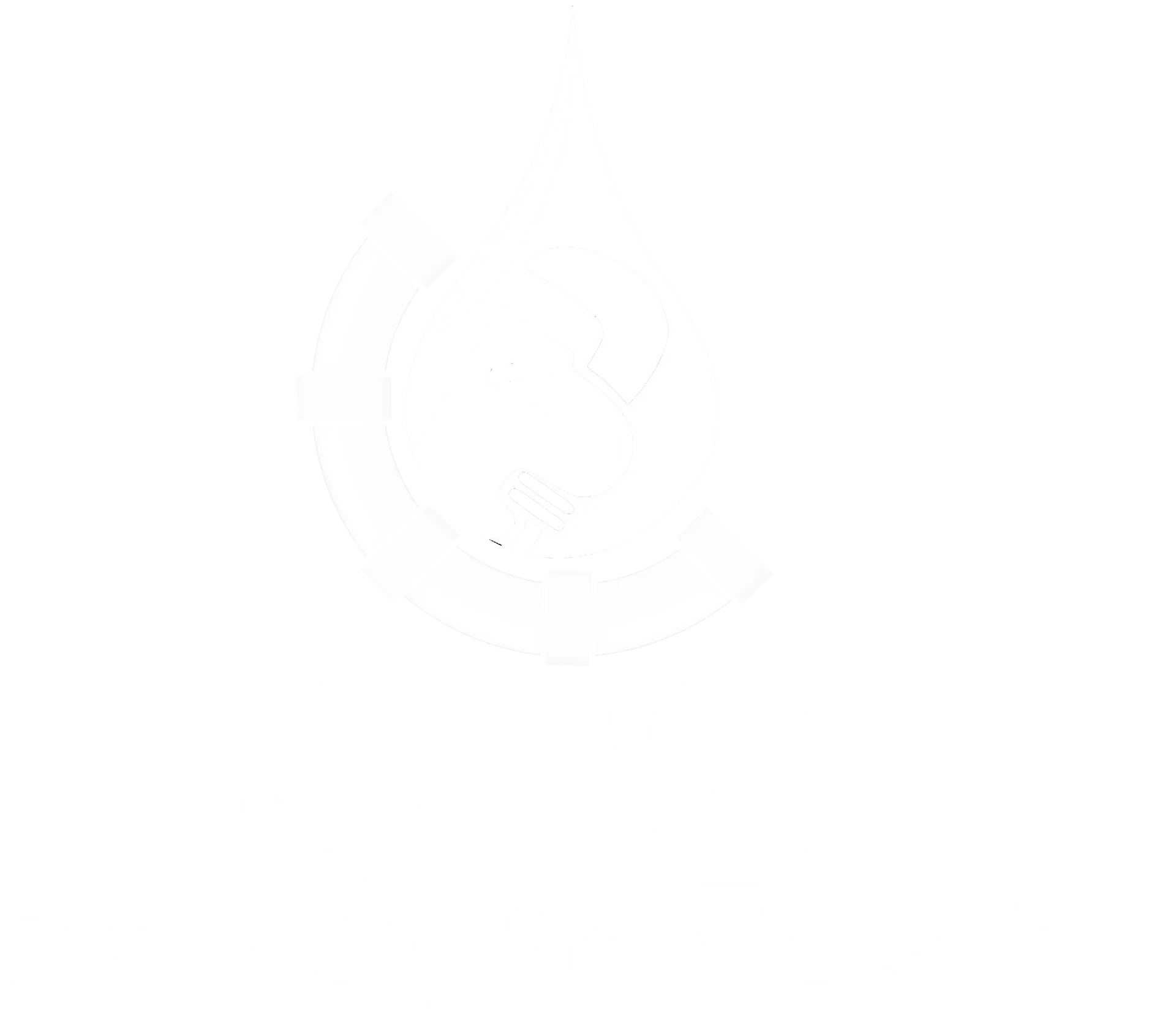 JBS Logo