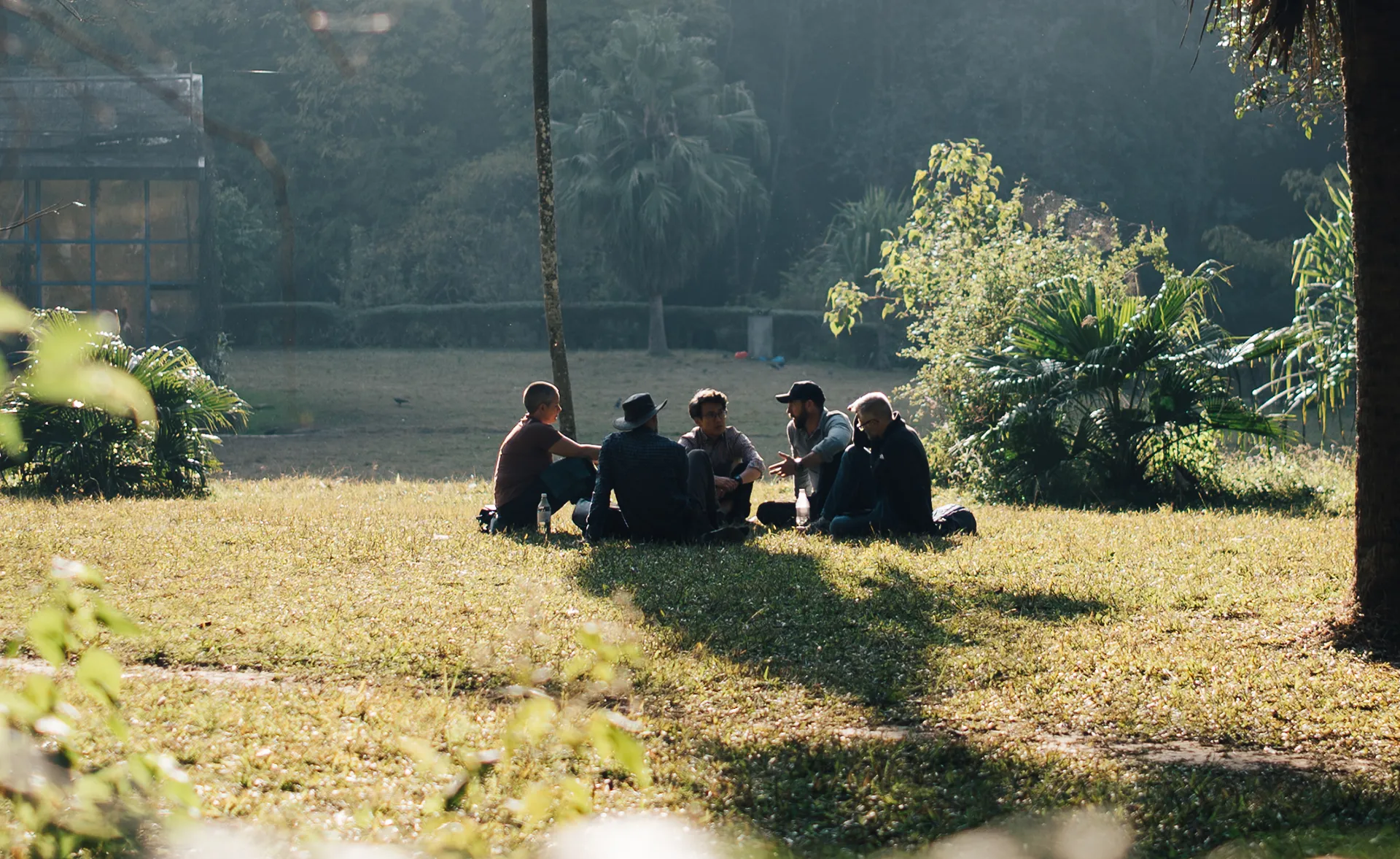 Five people sitting in a circle on grass in a sunlit park, surrounded by trees and bushes.