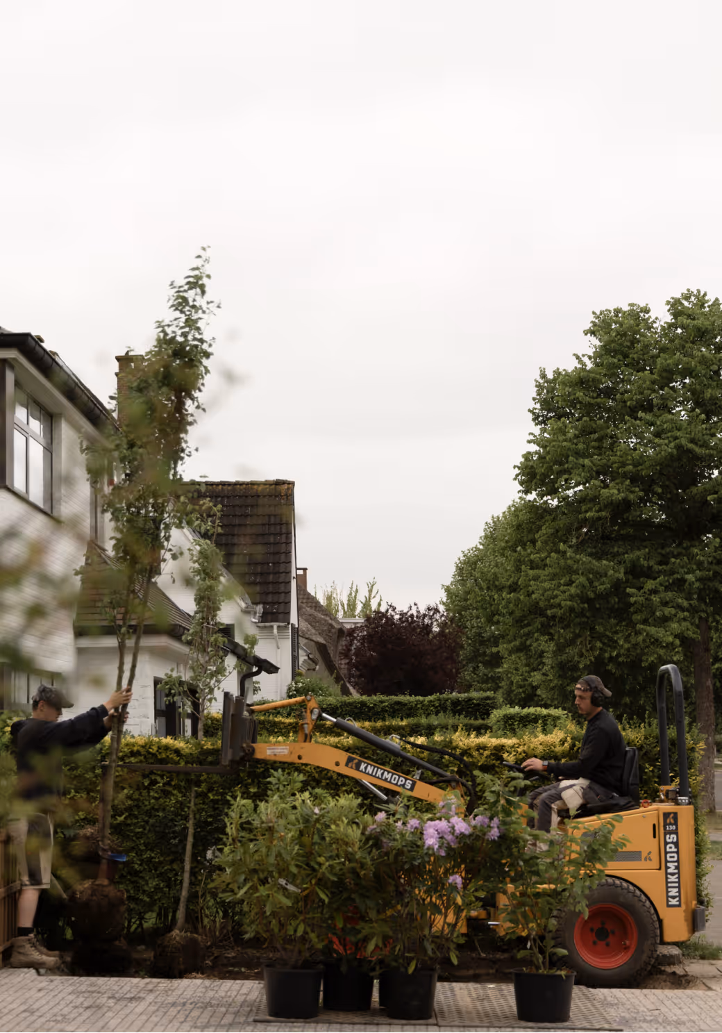 Twee mannen planten een boom met behulp van een gele graafmachine voor een huis met groene heg en bomen.
