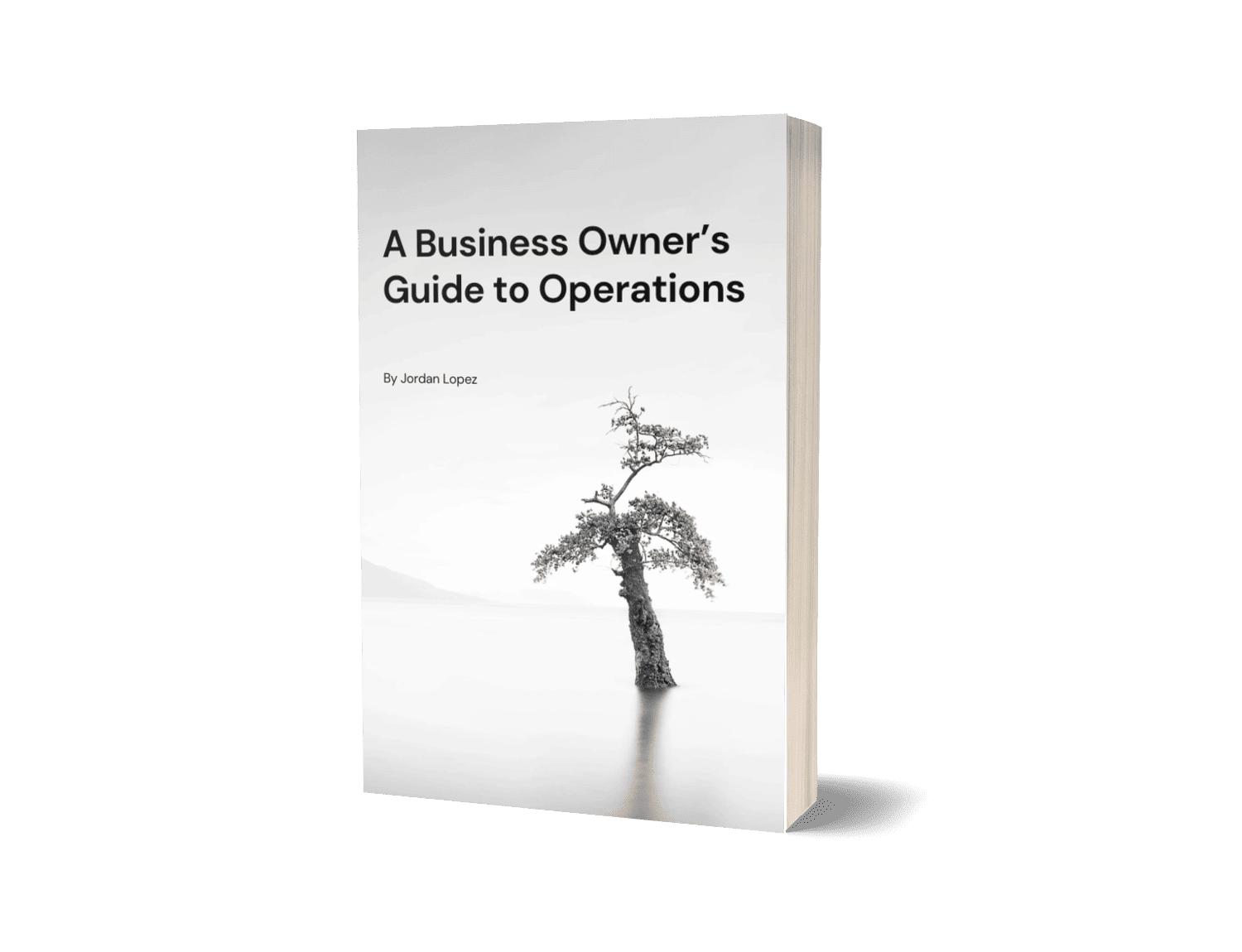 Free guide to operations for business owners.