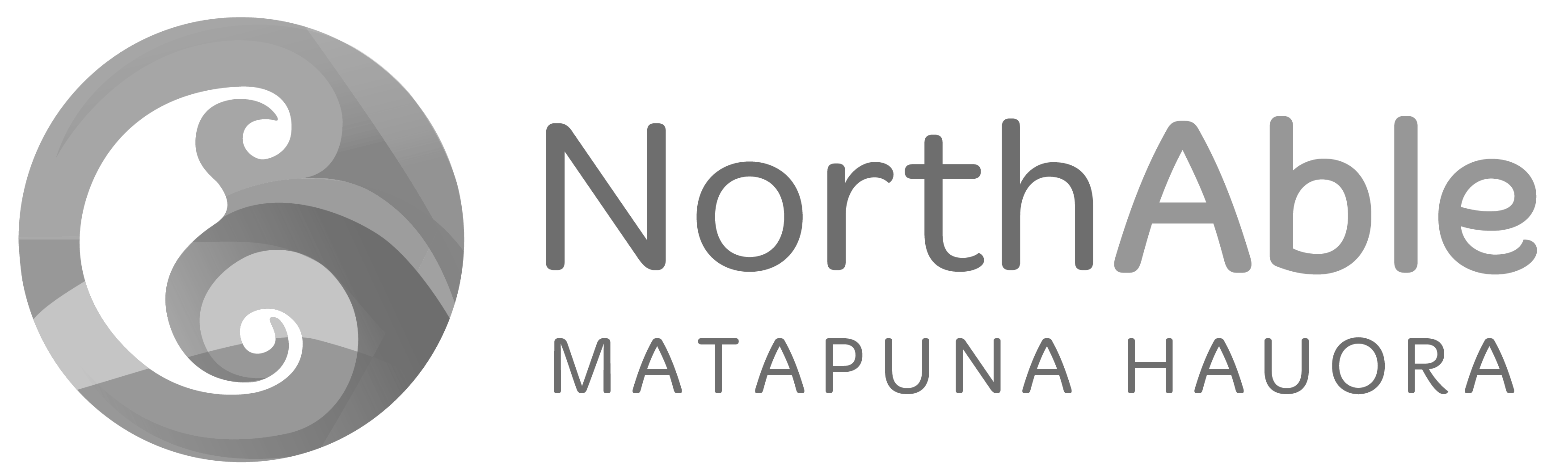 NorthAble logo featuring a stylized koru design inside a circle with the text 'NorthAble' and 'MATAPUNA HAUORA' below.