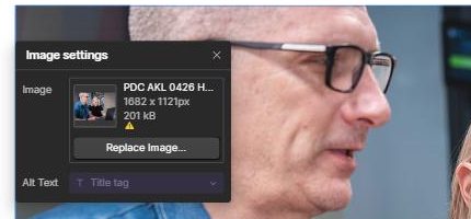 The image settings panel showing the file name, dimensions, a Replace image button and an alt text field.