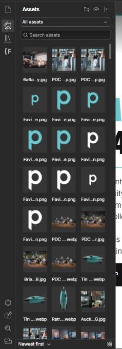 The assets panel showing a grid of uploaded images with a search box and upload buttons.