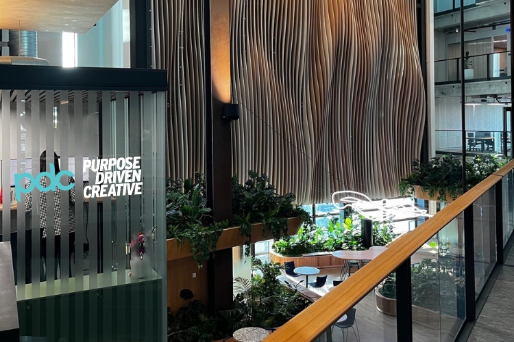 PDC Expands into Auckland: A New Chapter Built on the Same Foundations