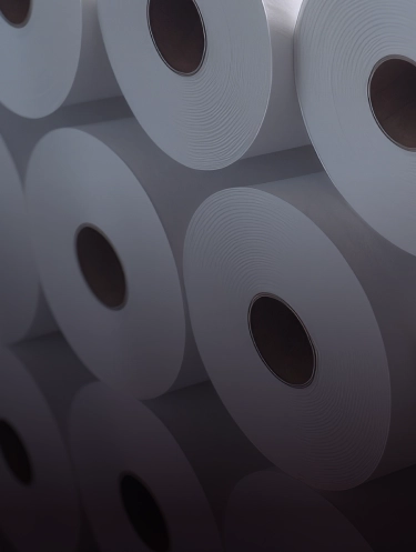 Múltiplos rolos de papel branco alinhados horizontalmente.