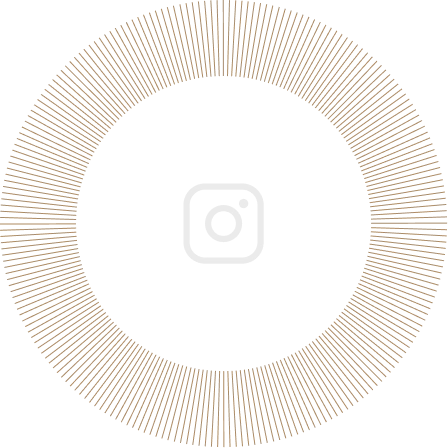 Ícone do Instagram branco centralizado dentro de um círculo decorativo dourado.