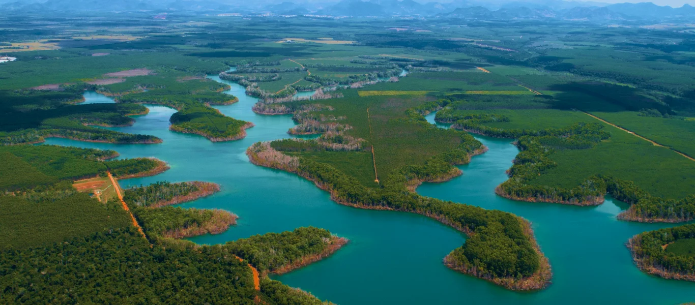 Vista aérea de um rio sinuoso rodeado por florestas verdes e áreas abertas com montanhas ao fundo.