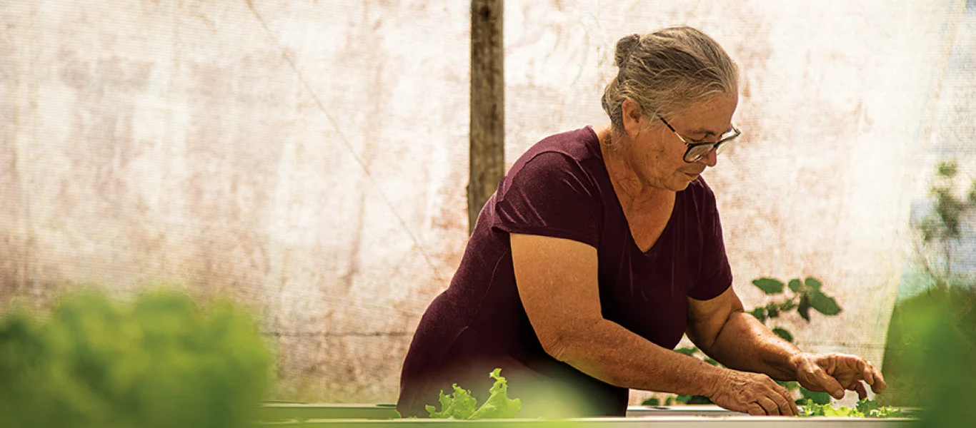Mulher idosa cuidando de plantas verdes em ambiente neutro com parede ao fundo.
