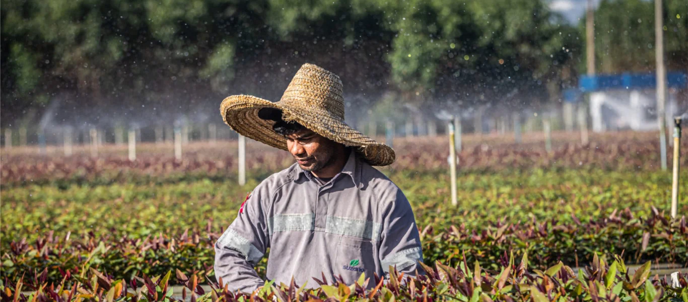 Agricultor usando chapéu de palha trabalha na plantação com sistema de irrigação ao fundo.