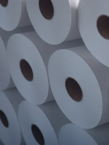 Múltiplos rolos brancos de papel higiênico empilhados lado a lado.
