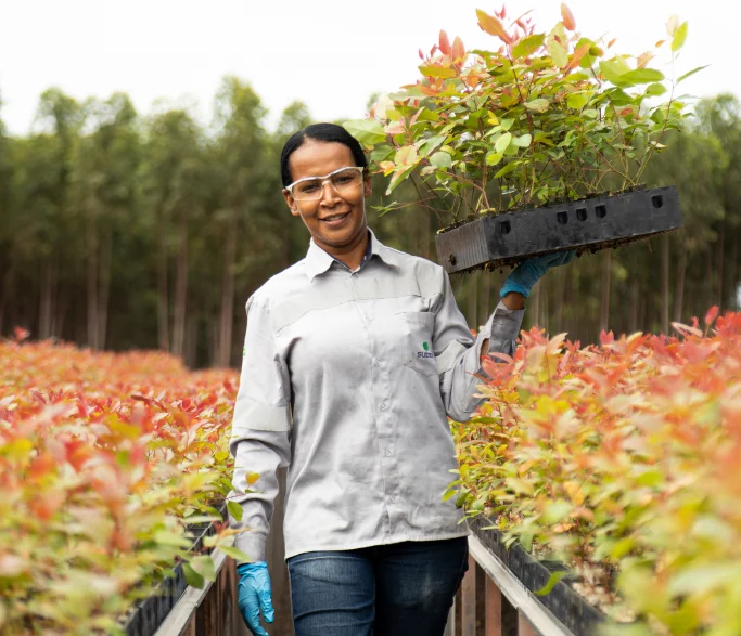 Mulher usando óculos de proteção e luvas segurando bandeja com mudas em viveiro de plantas.