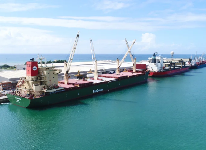 Navio cargueiro verde Pan Ocean atracado em porto, com gruas de carga e mar azul ao fundo.