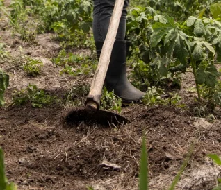 Pessoa usando botas e cavando o solo com uma enxada em um terreno de plantação.