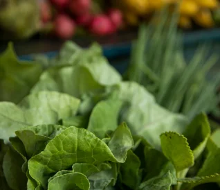 Folhas verdes frescas de alface em um mercado ou feira com vegetais desfocados ao fundo.