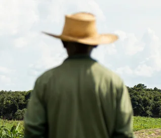 Pessoa vista de costas usando chapéu de palha e camisa verde, olhando para área verde com árvores ao fundo.