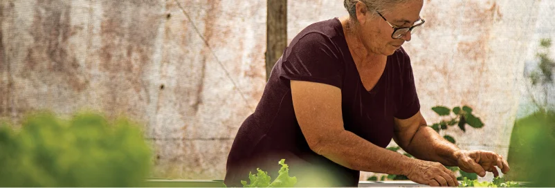 Mulher idosa cuidando de plantas em um jardim, vestindo blusa roxa e óculos.