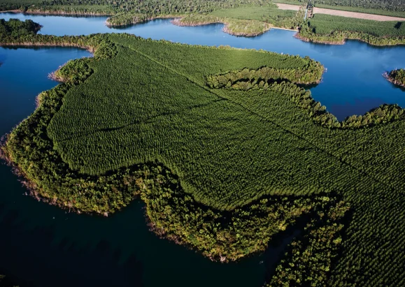 Vista aérea de uma grande área verde cercada por águas em um ambiente natural.